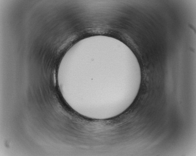 X0000101980020200808081627