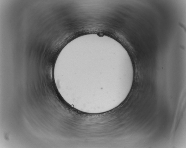 X0000101980021200808081627