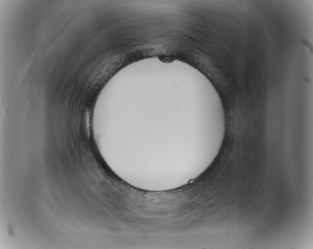 X0000101980022200808081627