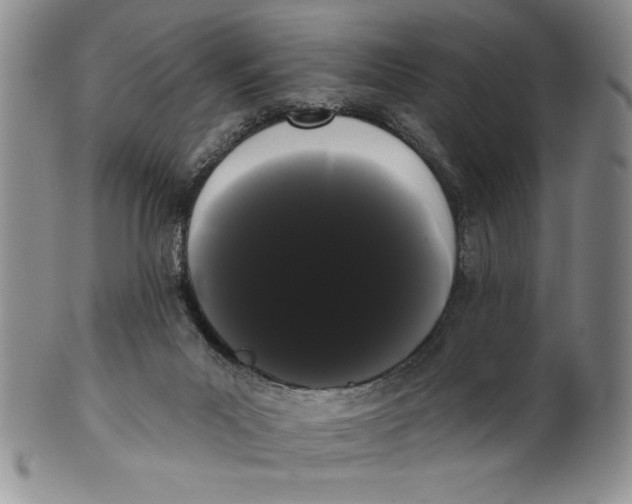 X0000101980023200808081627