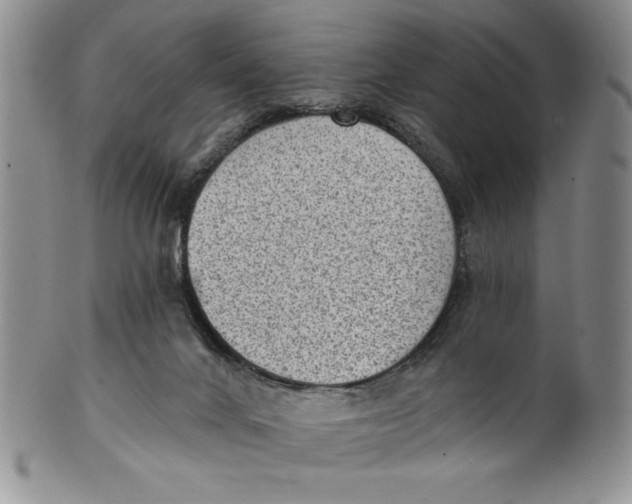 X0000101980024200808081627