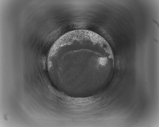 X0000101980026200808081626