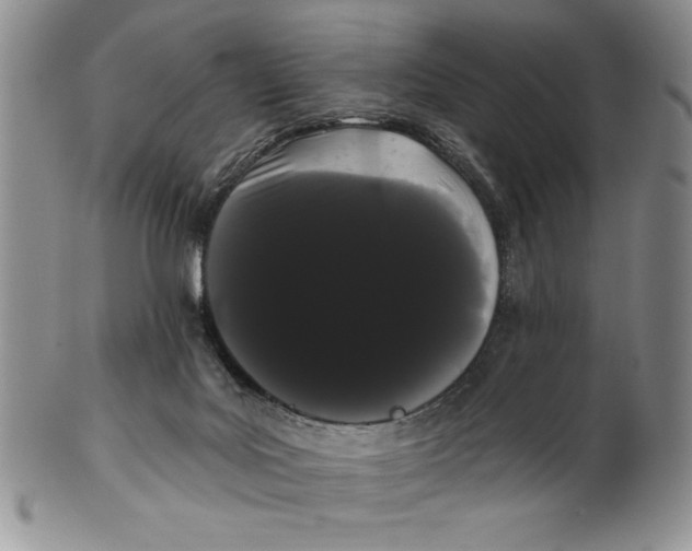 X0000101980027200808081626