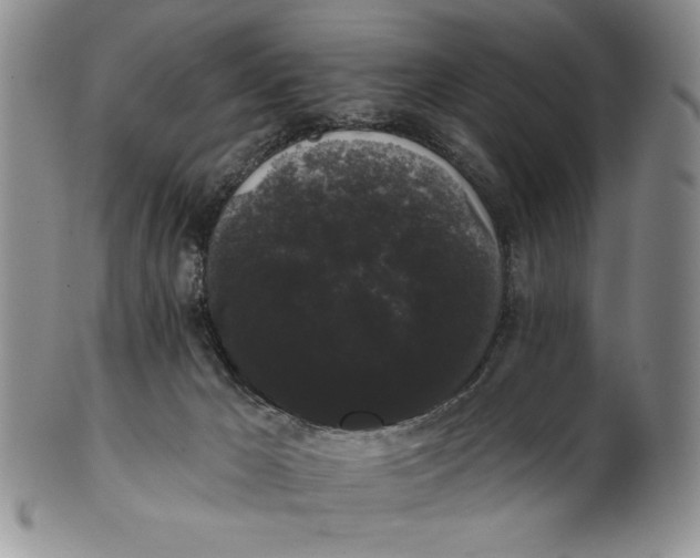 X0000101980029200808081626