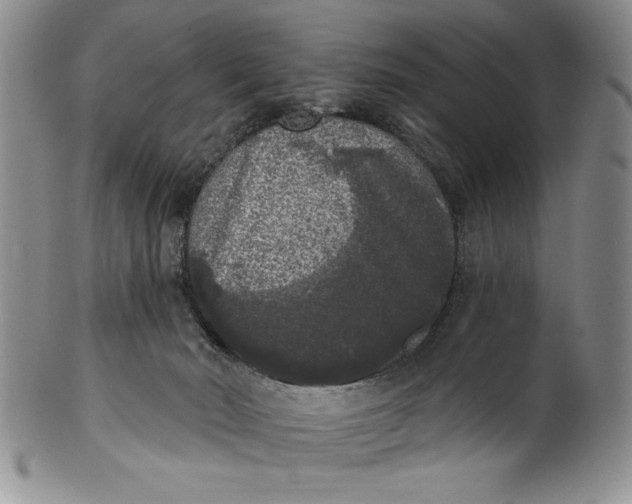 X0000101980030200808081626