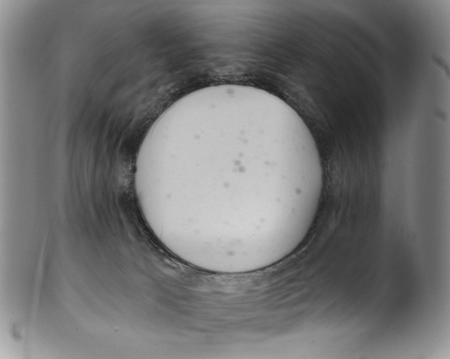 X0000101980033200808081626