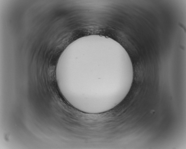 X0000101980034200808081626