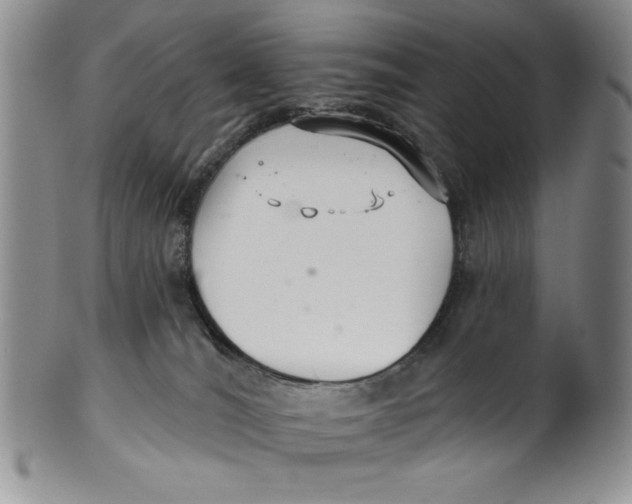 X0000101980036200808081626