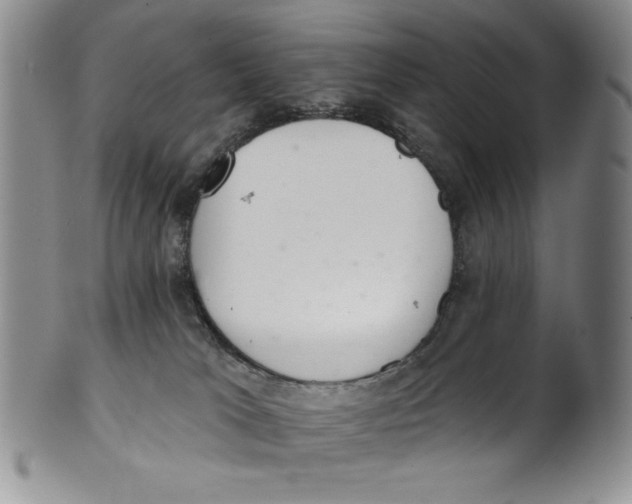 X0000101980037200808081626