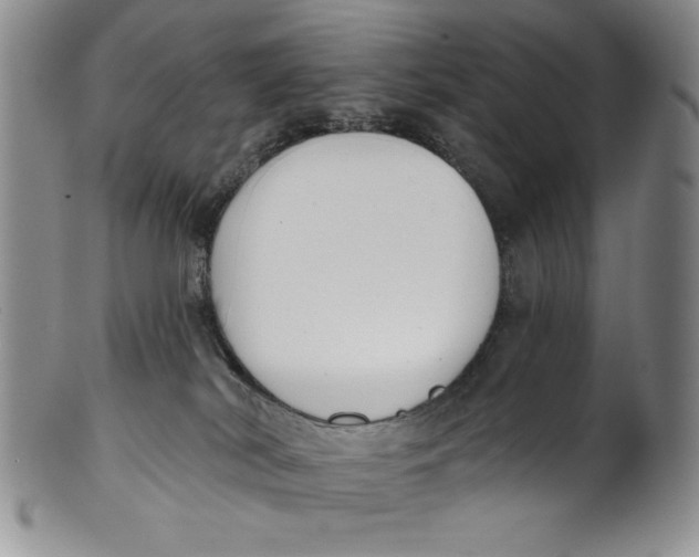 X0000101980038200808081626