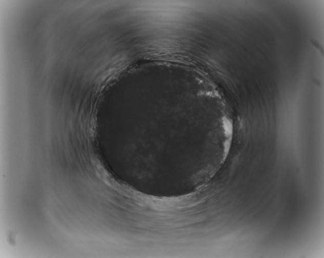 X0000101980039200808081626