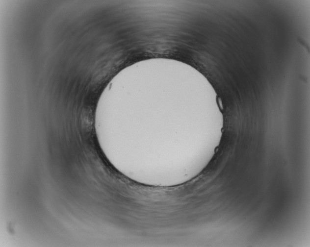 X0000101980040200808081626