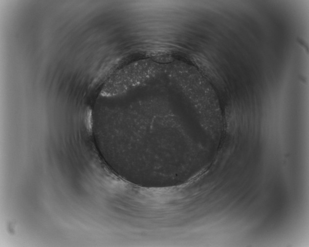 X0000101980041200808081626