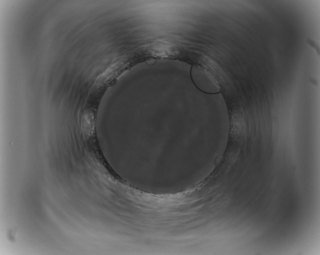 X0000101980043200808081626