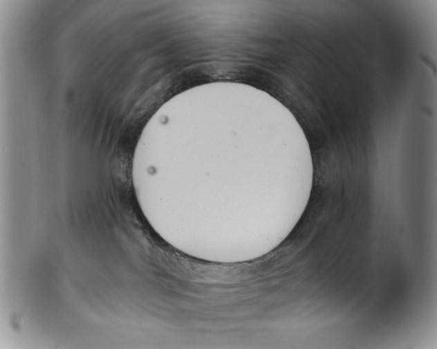 X0000101980044200808081626