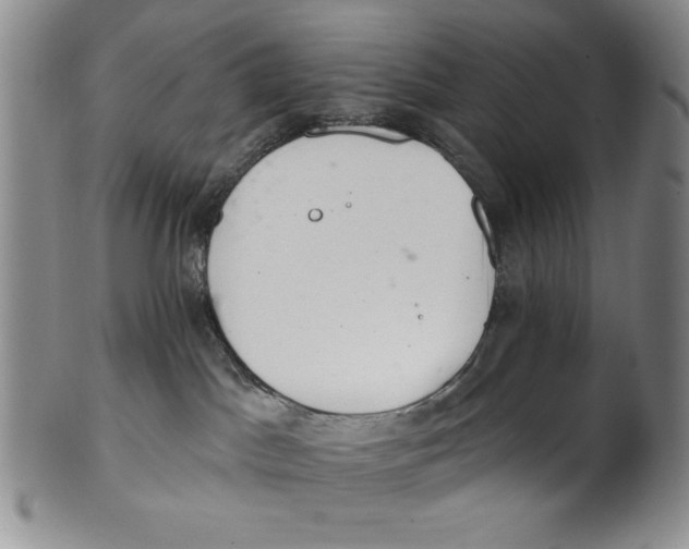 X0000101980045200808081626