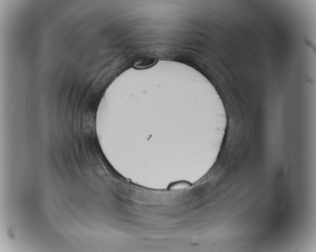 X0000101980048200808081626