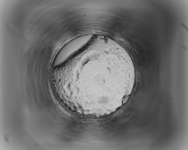 X0000101980049200808081625