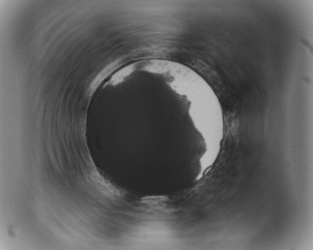 X0000101980051200808081625