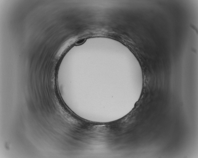 X0000101980054200808081625