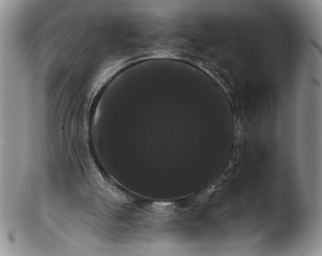 X0000101980055200808081625