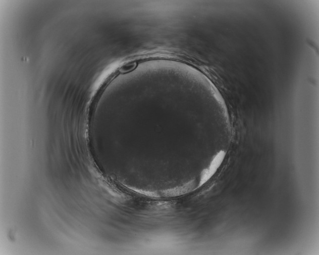 X0000101980056200808081625