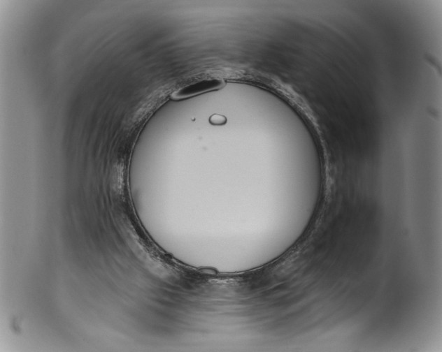 X0000101980057200808081625