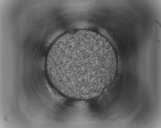 X0000101980058200808081625