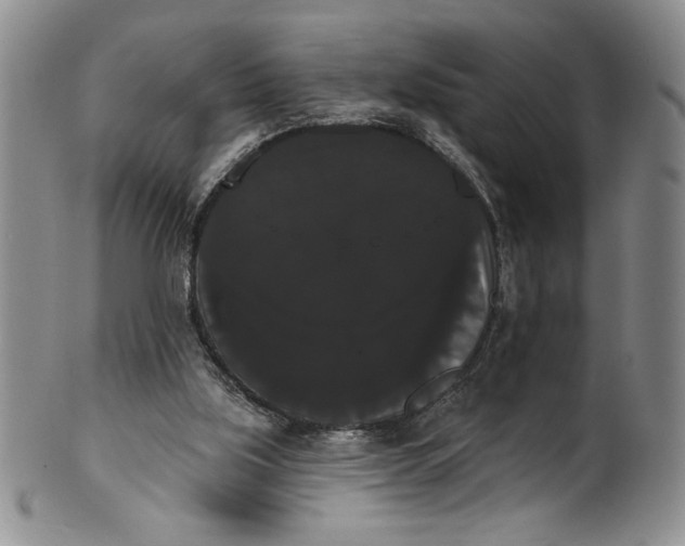 X0000101980059200808081625