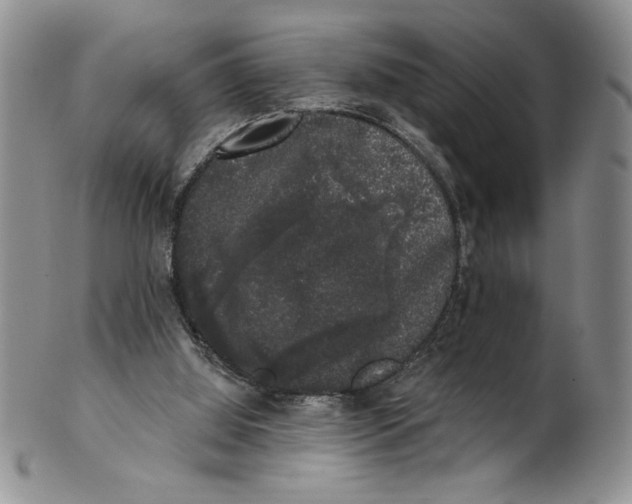 X0000101980060200808081625