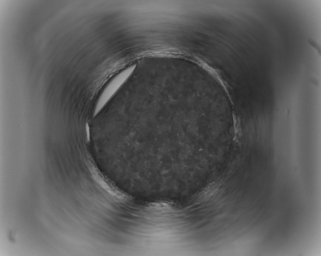 X0000101980061200808081625