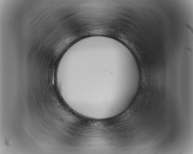 X0000101980062200808081625