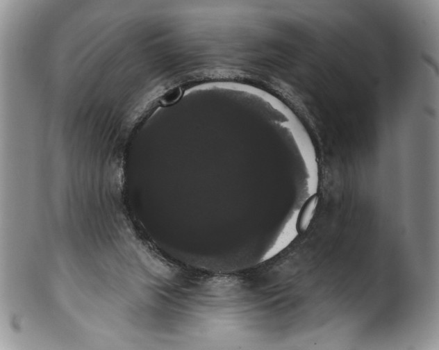 X0000101980063200808081625