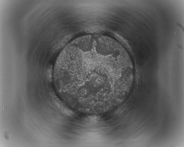 X0000101980065200808081625