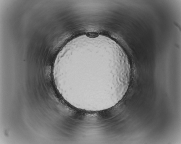 X0000101980066200808081625