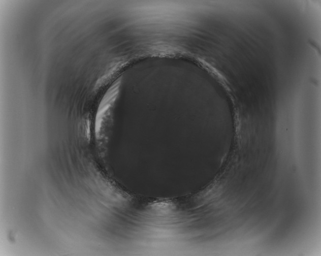 X0000101980067200808081626