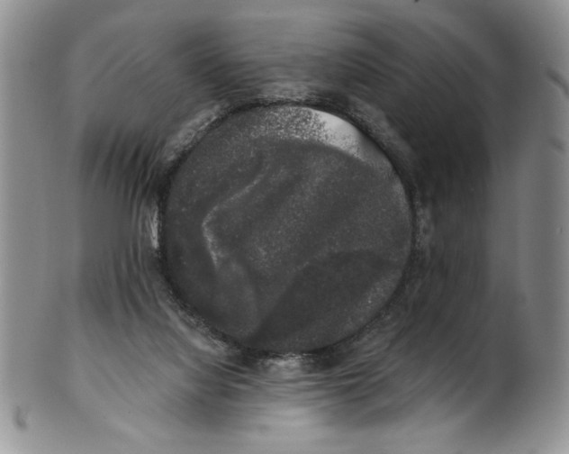 X0000101980068200808081626