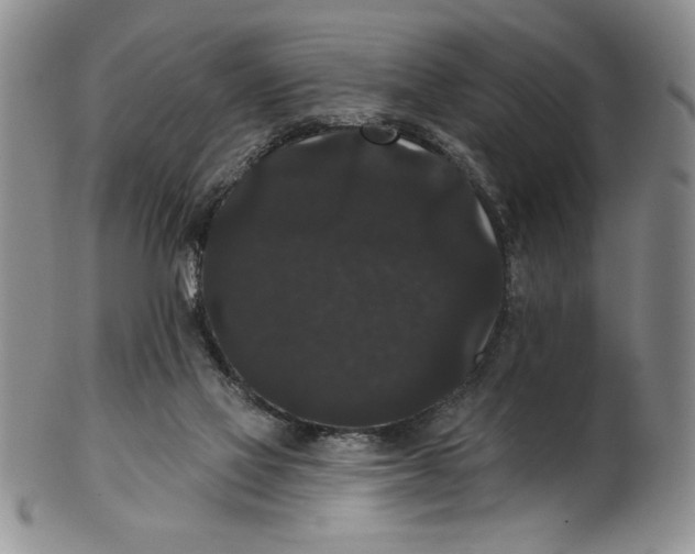 X0000101980069200808081626