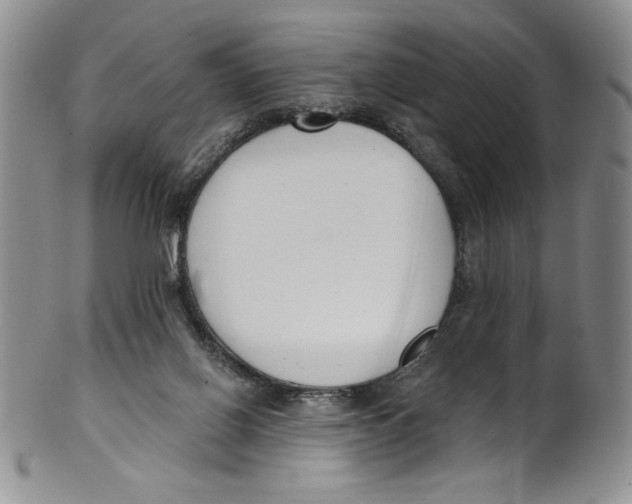 X0000101980070200808081626