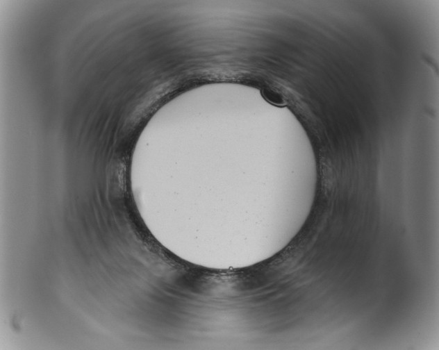 X0000101980071200808081626