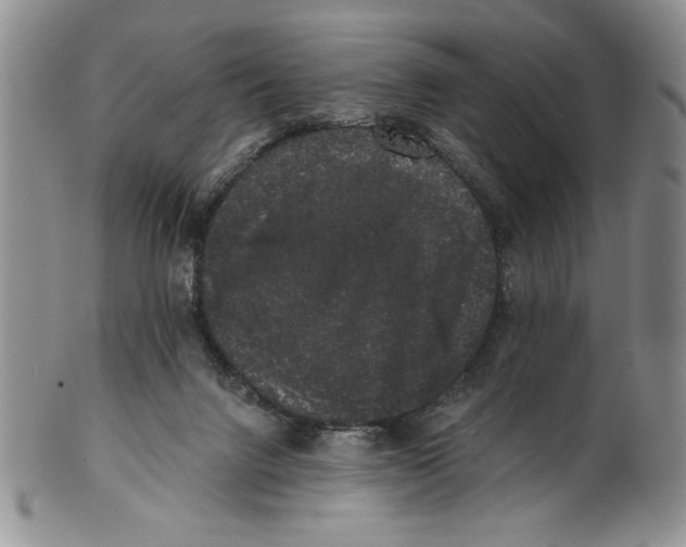 X0000101980072200808081626