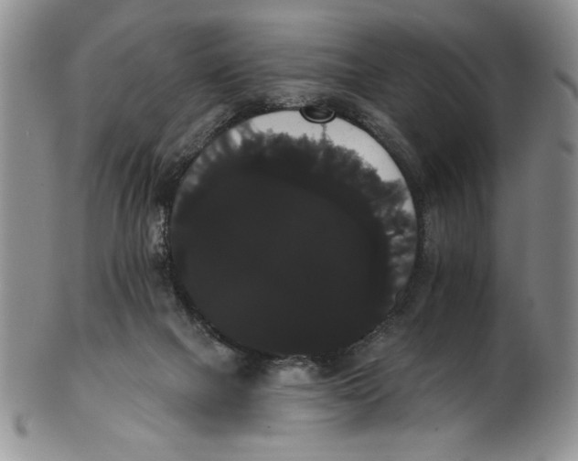 X0000101980073200808081626