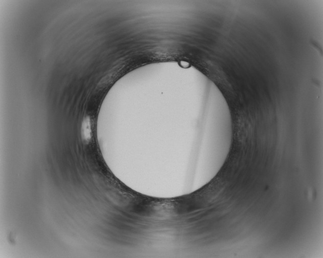 X0000101980075200808081626