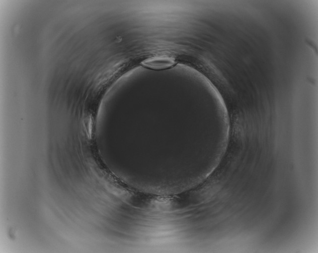 X0000101980076200808081626