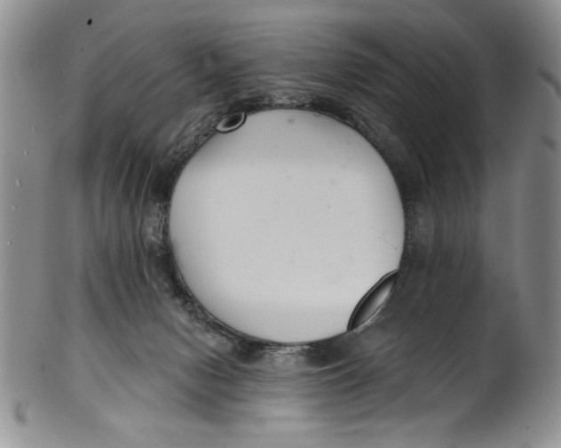 X0000101980078200808081626