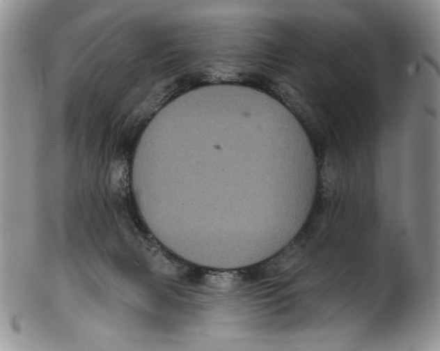 X0000101980079200808081626