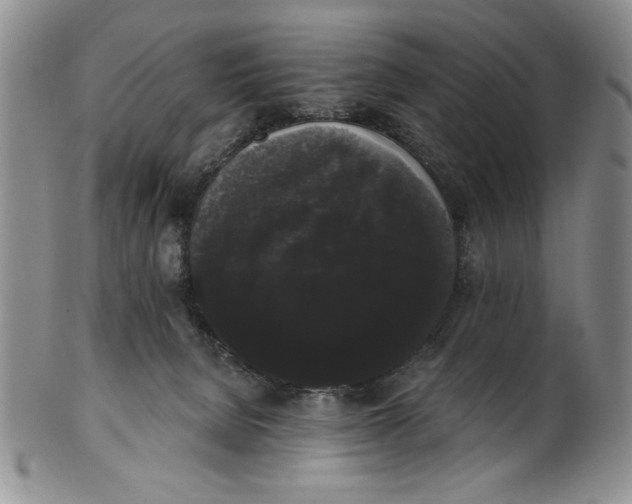 X0000101980080200808081626