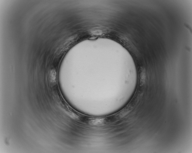 X0000101980081200808081626