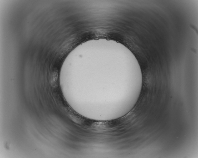 X0000101980082200808081626