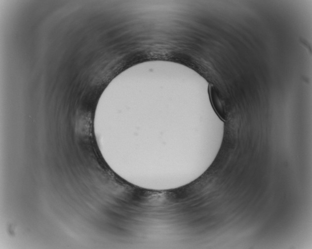 X0000101980083200808081626